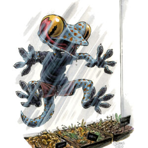 reptile 03
