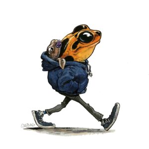 Grenouille 4