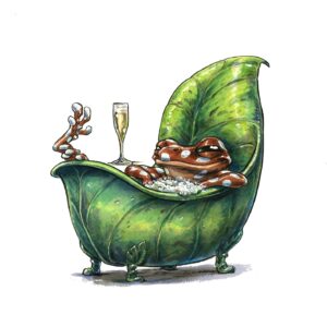 Grenouille 8