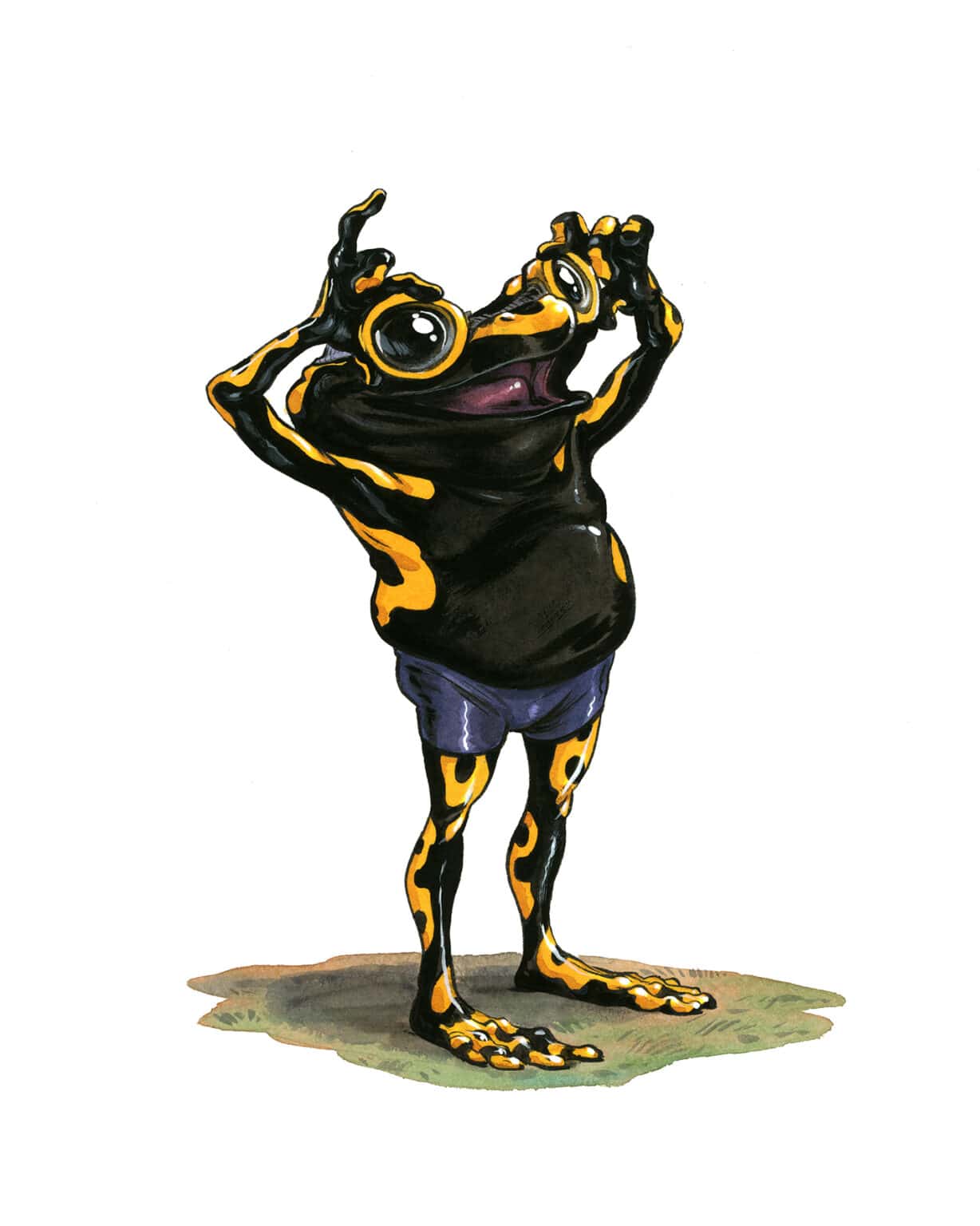 Guznag Copypright Grenouille 10 drawing by guznag
