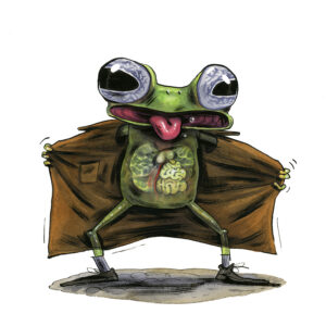 Grenouille 13