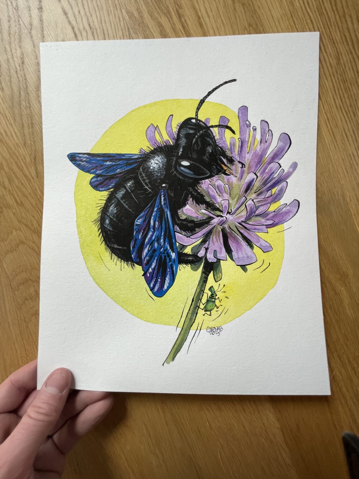 Guznag Copyright Original Abeille Charpentiere Photo drawing by guznag