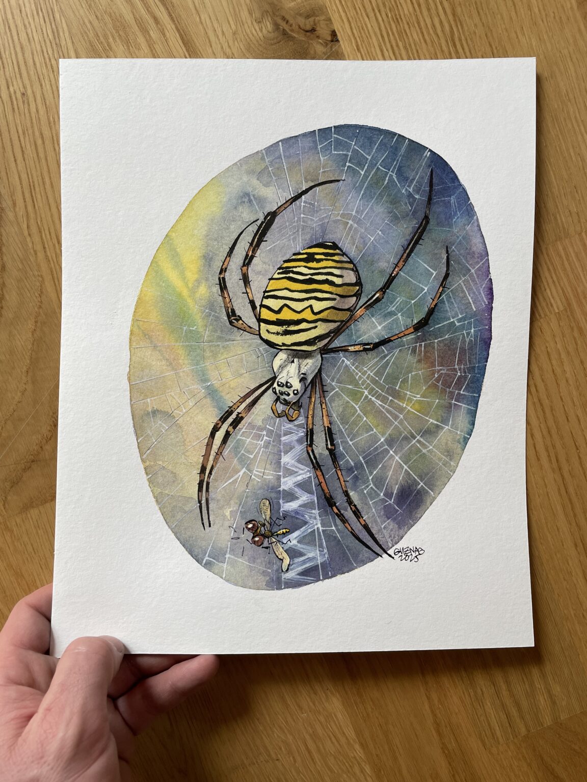 Guznag Copyright Original Argiope Frelon Photo drawing by guznag