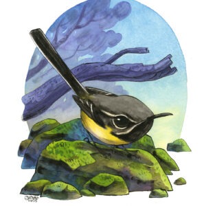 goldcrest (Copie) (Copie)