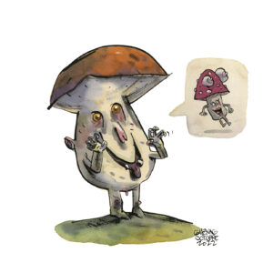boletus