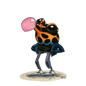 Ranitomeya ventrimaculata