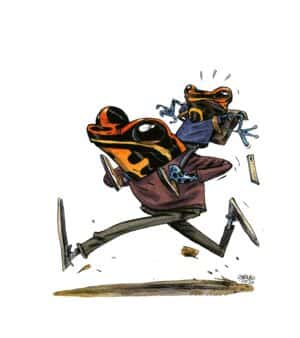 Guznag Copyright Original Grenouille Dendrobates Ranitomeya Imitator drawing by guznag