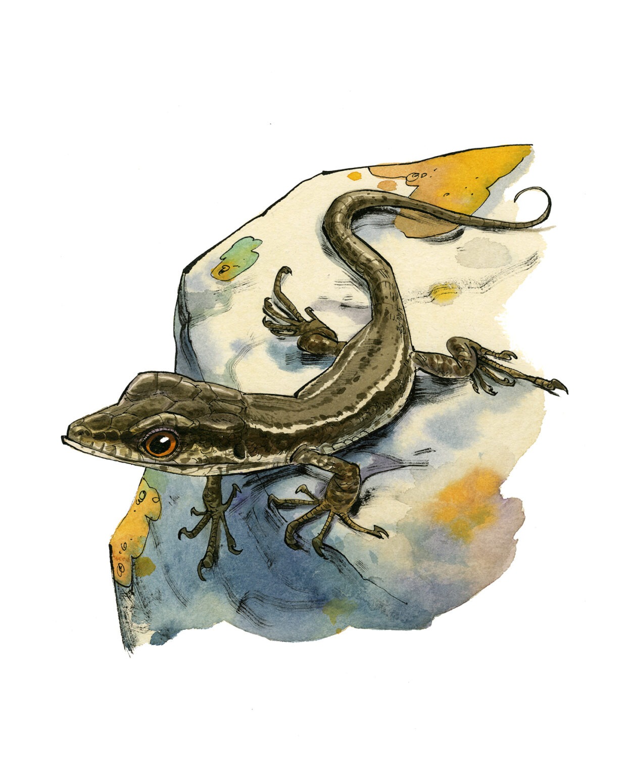 Guznag Copyright Original Lezard Des Murailles drawing by guznag