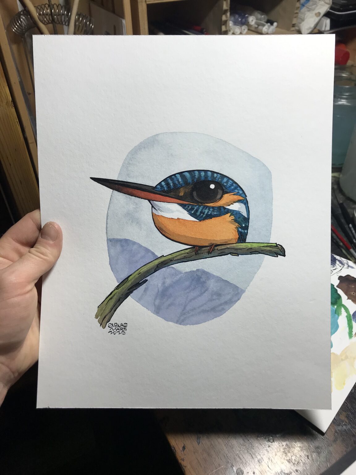 european kingfisher - Image 2