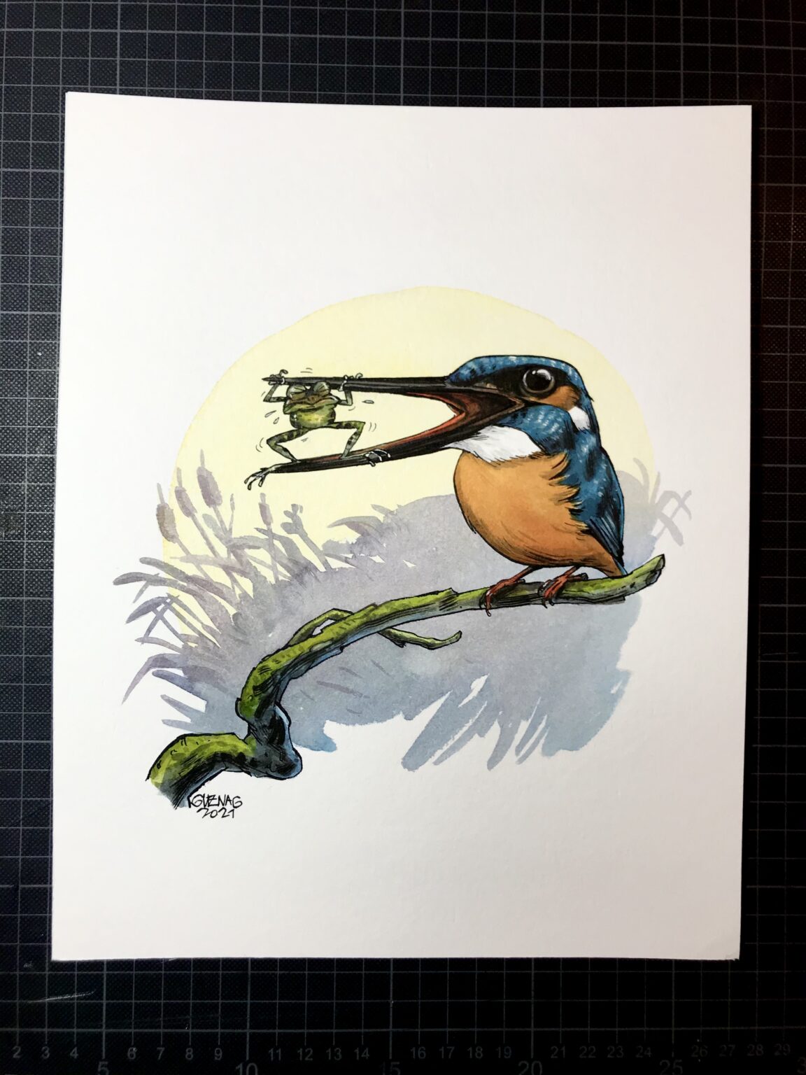 Kingfisher 4 - Image 2