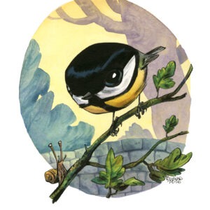 mésange charbonnière
