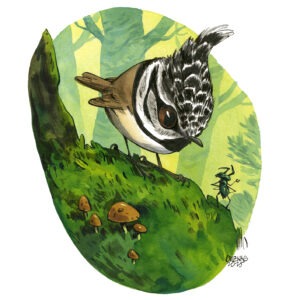 goldcrest (Copie)