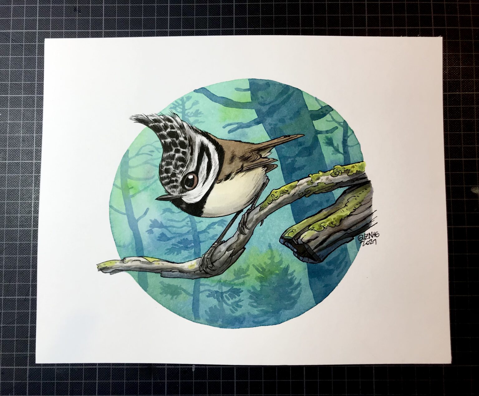 Crested tit 2 - Image 2