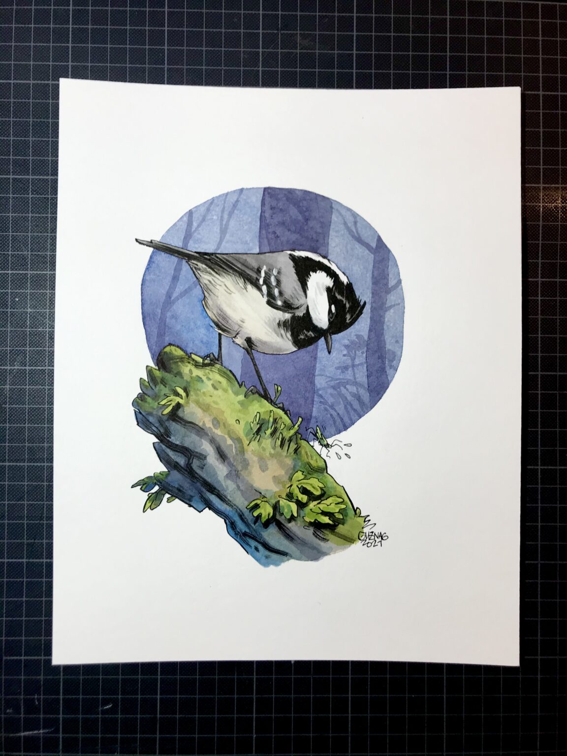 Coal tit - Image 2