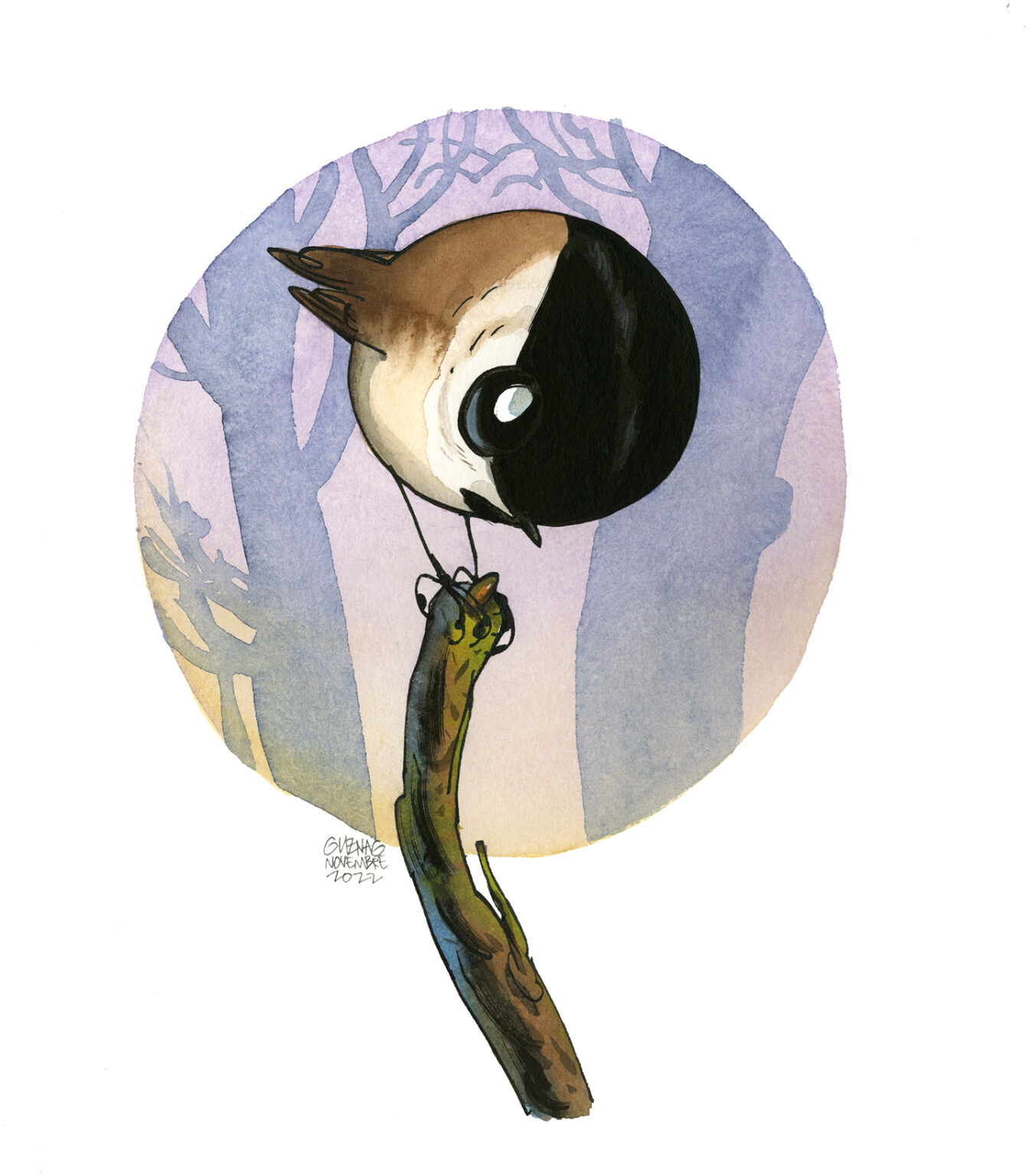 marsh tit