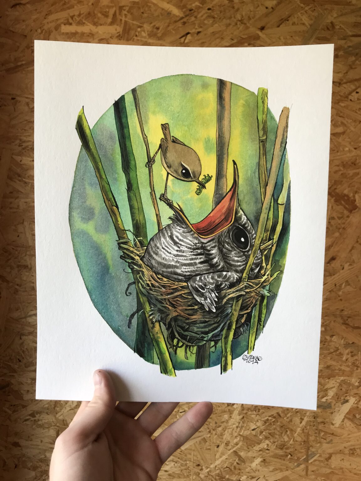 Guznag Copyright Original Oiseau Bebe Coucou Photo drawing by guznag