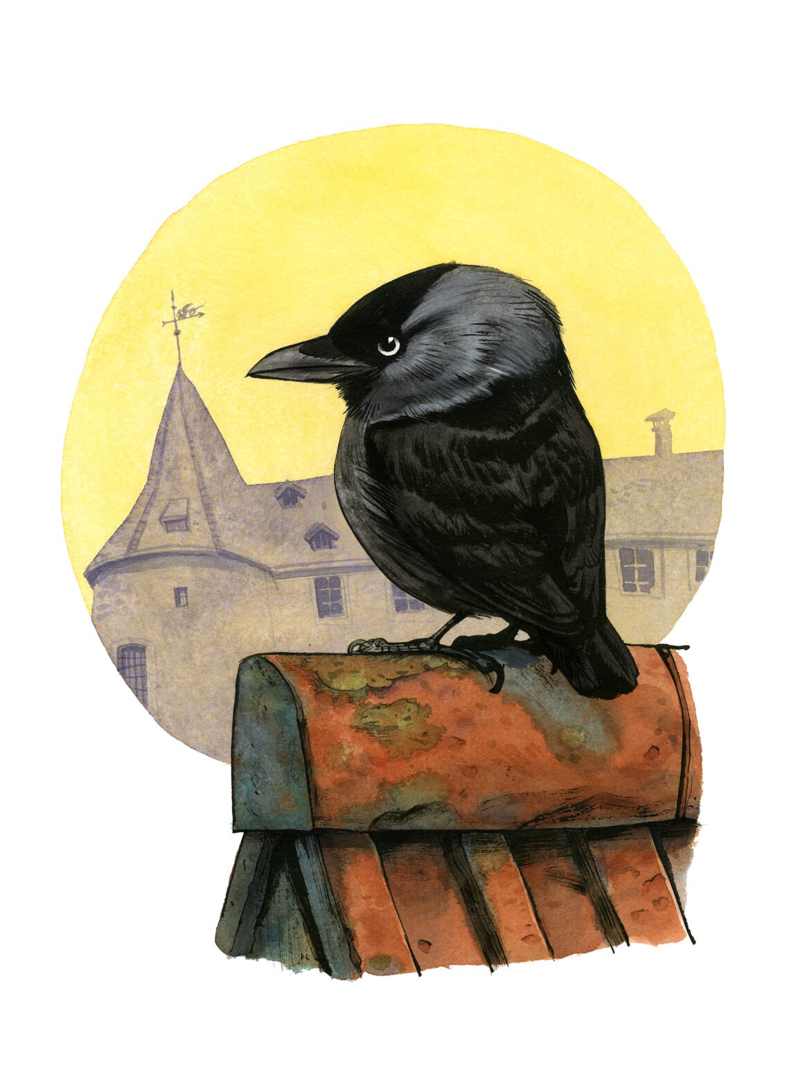 Guznag Copyright Original Oiseau Choucas Des Tours drawing by guznag