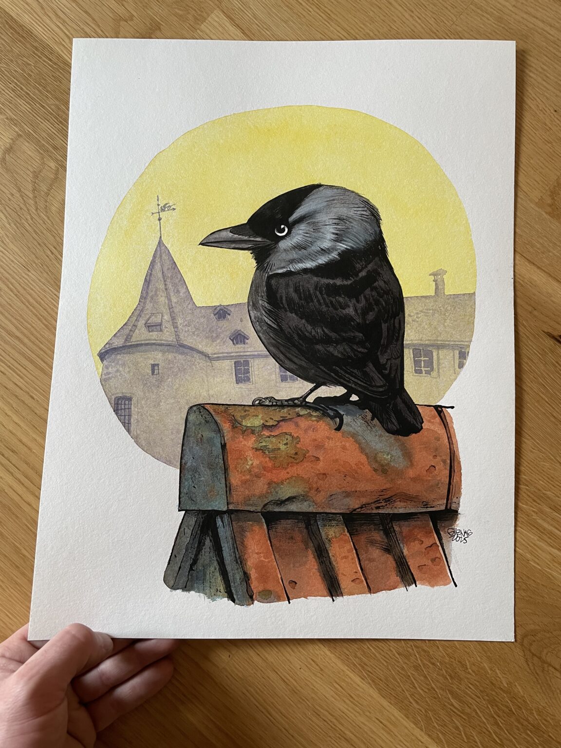 Guznag Copyright Original Oiseau Choucas Des Tours Photo drawing by guznag