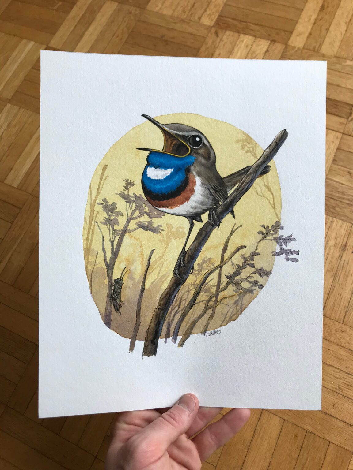 Gorgebleue – Image 2