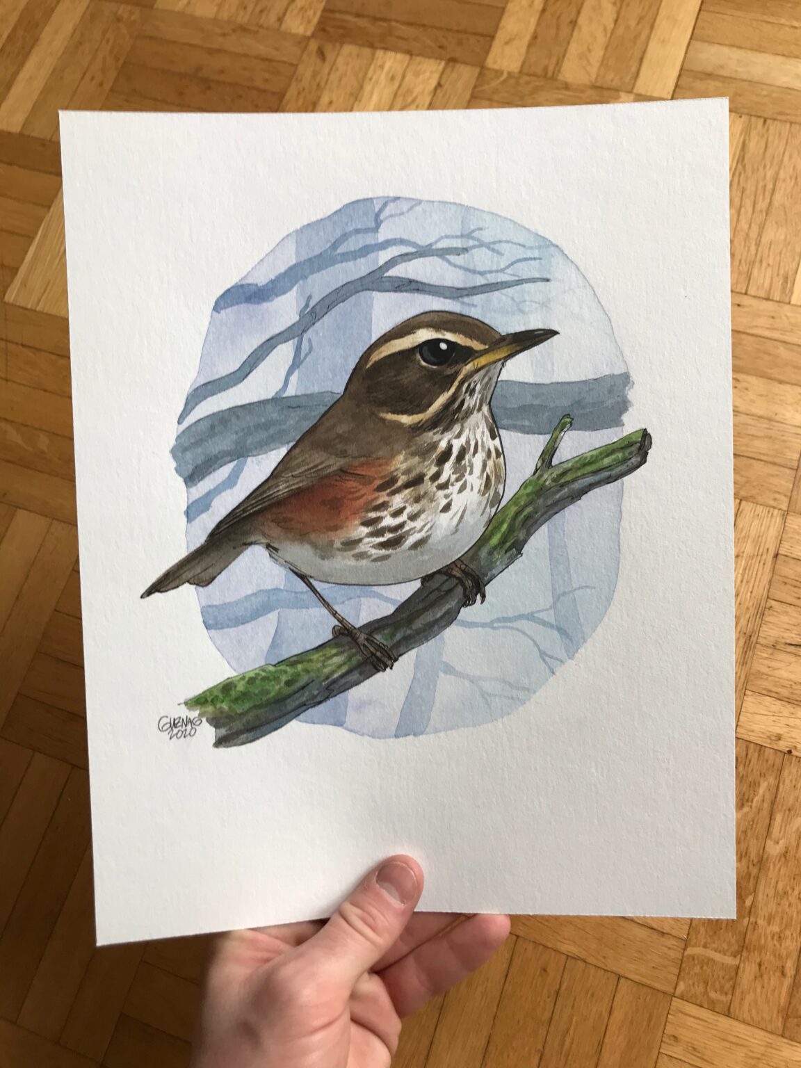 Guznag Copyright Original Oiseau Grive Mauvis 2 Photo drawing by guznag