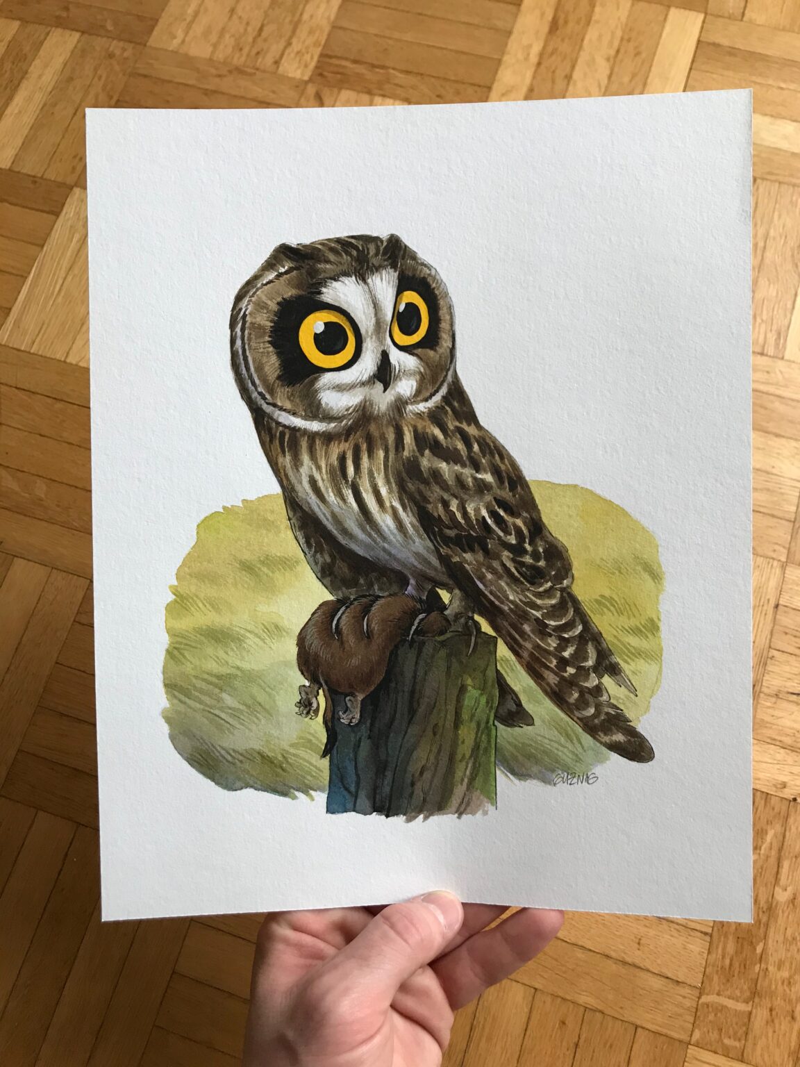 Guznag Copyright Original Oiseau Hibou Des Marais Photo drawing by guznag