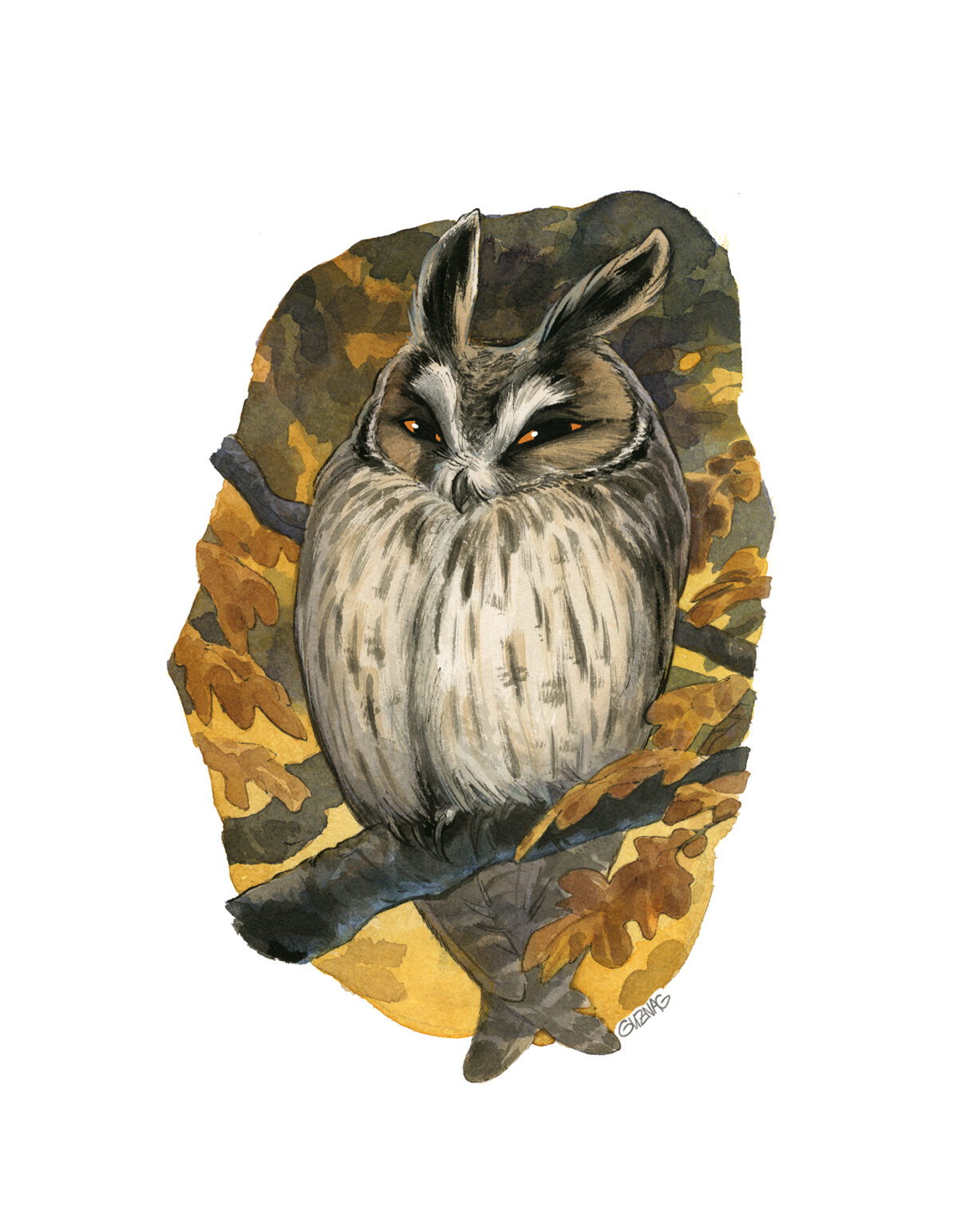 Guznag Copyright Original Oiseau Hibou Moyen Duc drawing by guznag