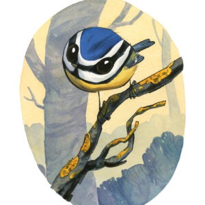 mésange bleue