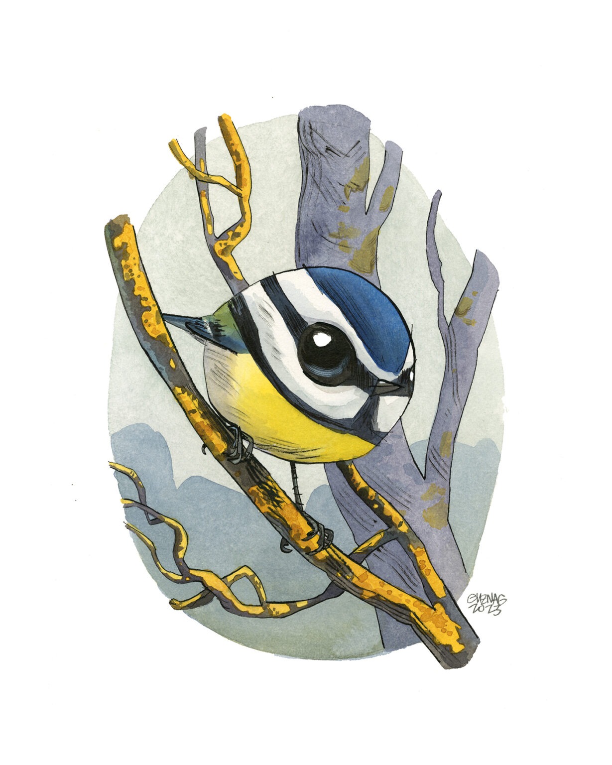 blue tit