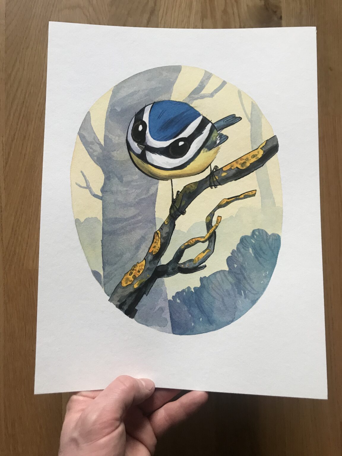 Guznag Copyright Original Oiseau Mesange Bleue 2025 Photo drawing by guznag