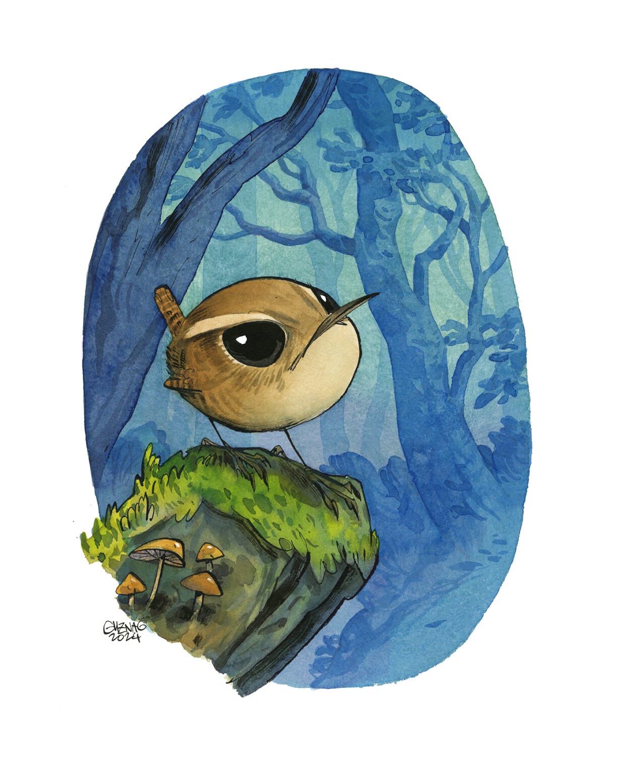 eurasian wren