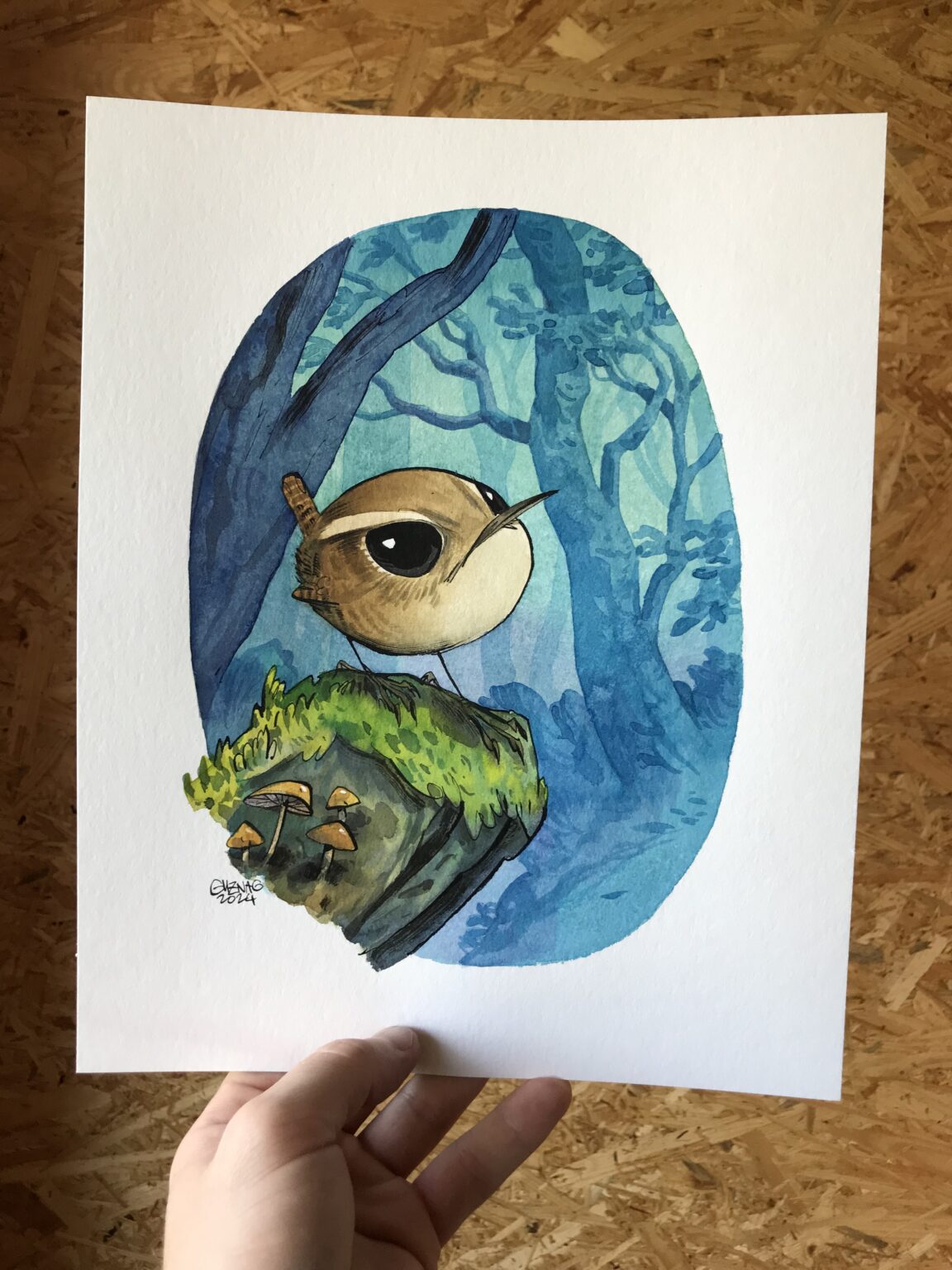 eurasian wren - Image 2
