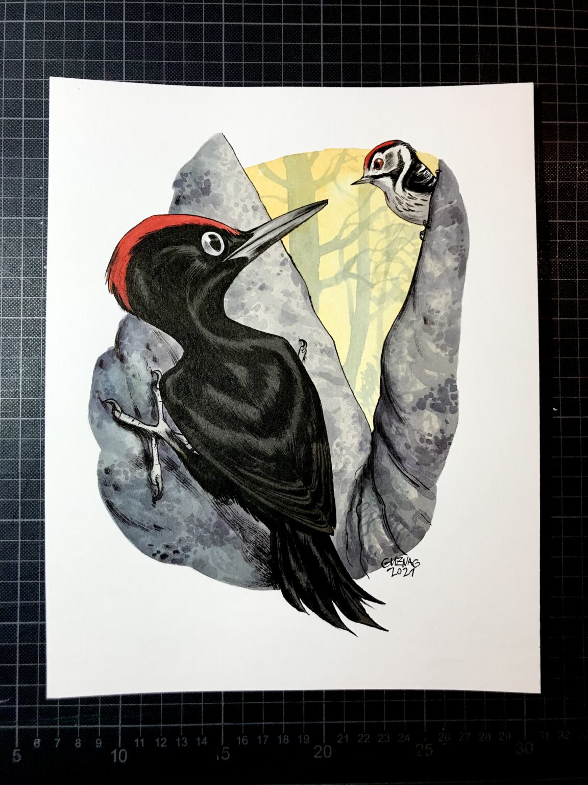 Black and lesser spotted woodpeckers - Image 2