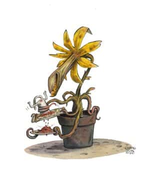 Guznag Copyright Original Plante Carnivore drawing by guznag