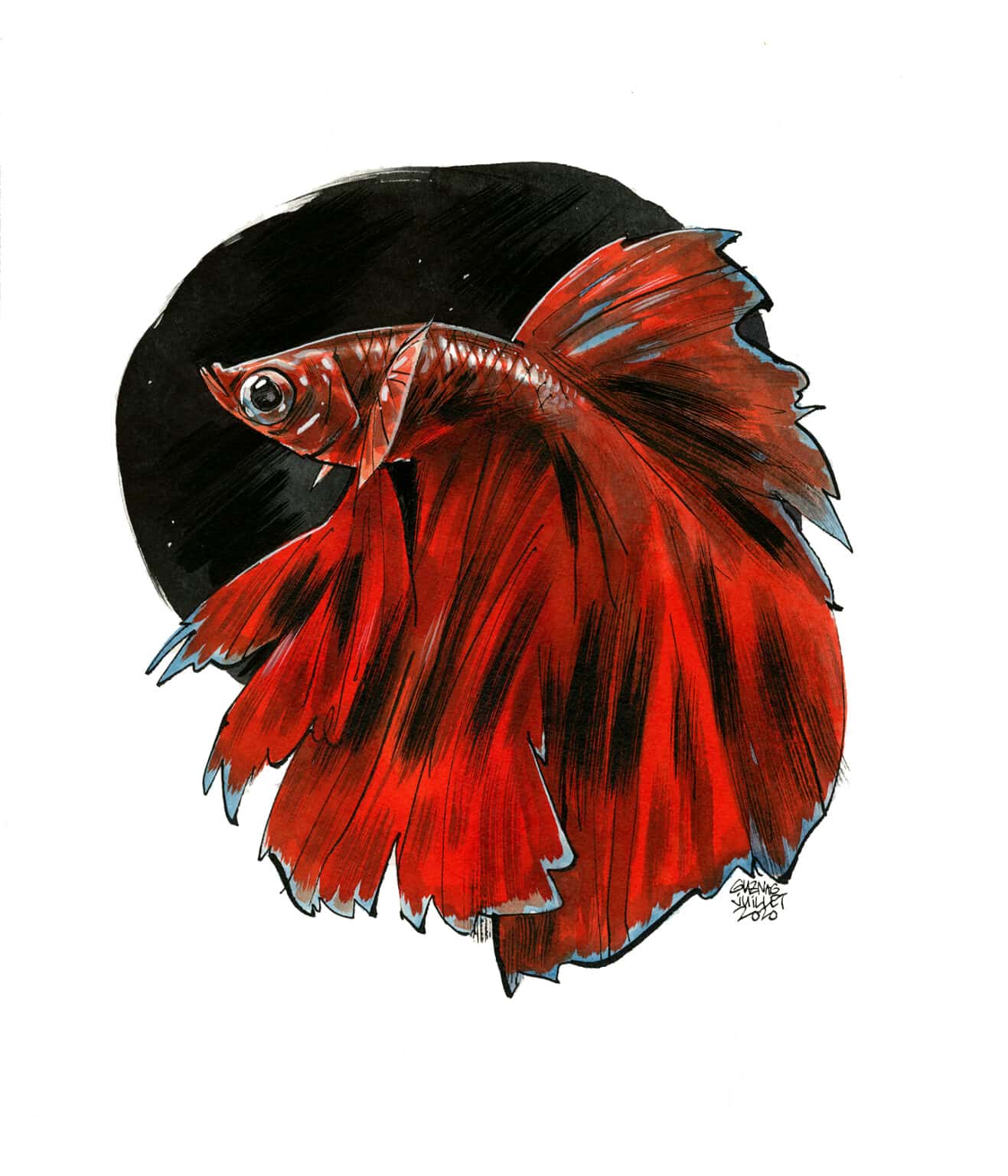 Guznag Copyright Original Poisson Combattant Beta drawing by guznag