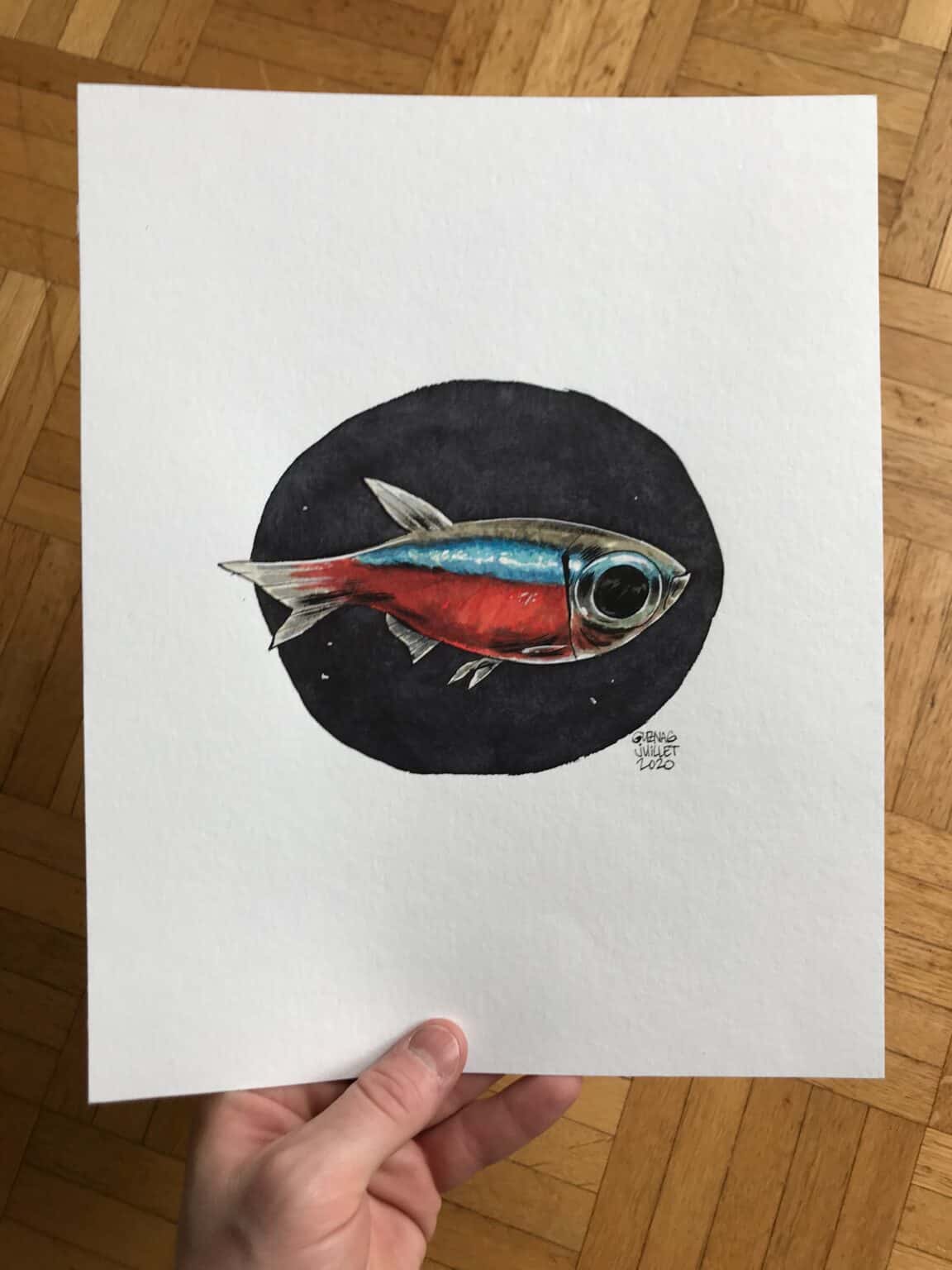 Guznag Copyright Original Poisson Tetra Cardinalis Photo drawing by guznag