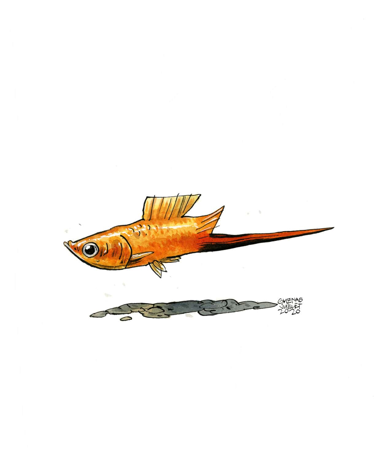 Guznag Copyright Original Poisson Xipho drawing by guznag