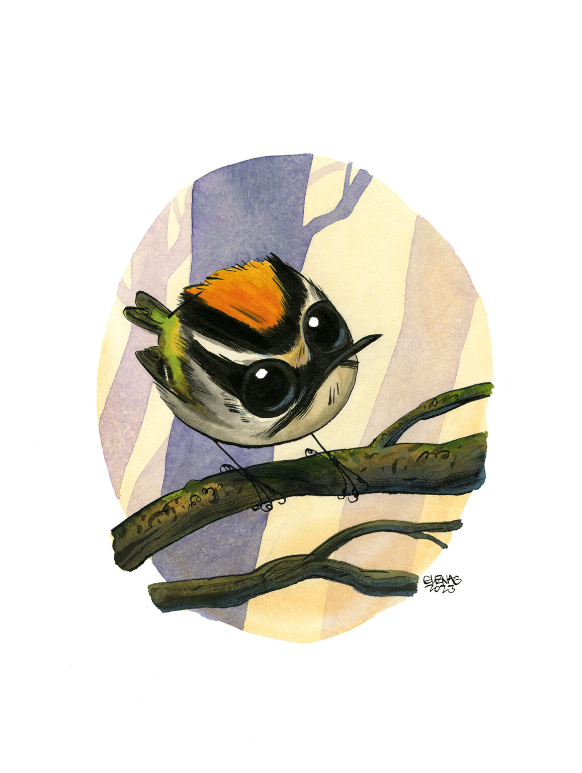 Firecrest