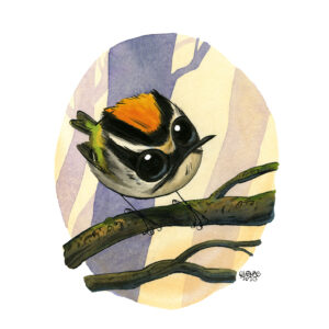 Firecrest