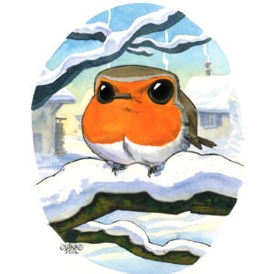 rouge-gorge en hiver