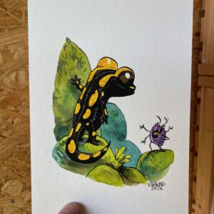 salamandre