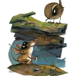 Troglodyte mignon et mulot